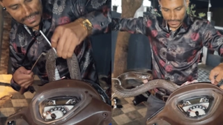 Man Rescues Cobra Stuck Inside Scooter | Viral Video Leaves Commuters Petrified